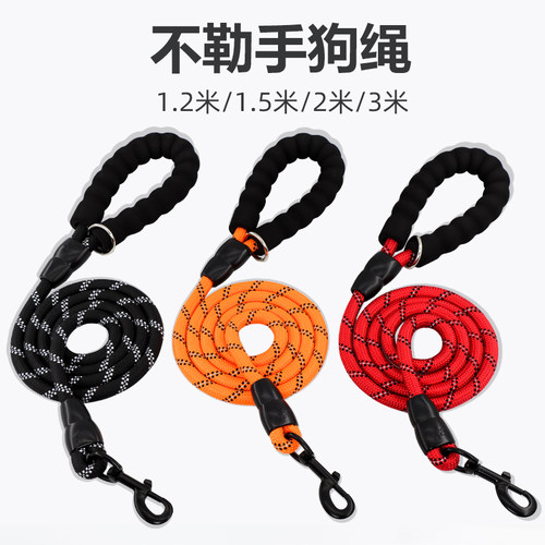 2米加长狗狗牵引绳小中金毛