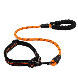 宠物牵引绳柯基金毛拉布拉多防爆冲中大型犬脖圈项圈遛狗绳狗链子