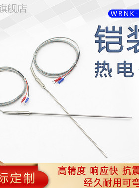 WRNK-191铠装温度传感器可弯曲探头K型热电偶电热偶Pt100/E/J/T