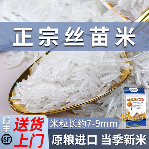 原粮进口丝苗米猫牙米送货上门