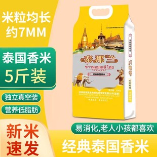 泰那兰猫牙米大米2023年新米茉莉正宗泰国香米长粒香10斤5斤一级