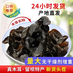 新货秦岭黑木耳250g干货自然生长特产无根肉厚黑木耳批发非特级