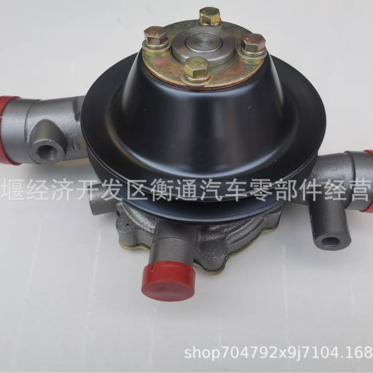 适用于玉柴发动机水泵总成B9E00-1307100图片