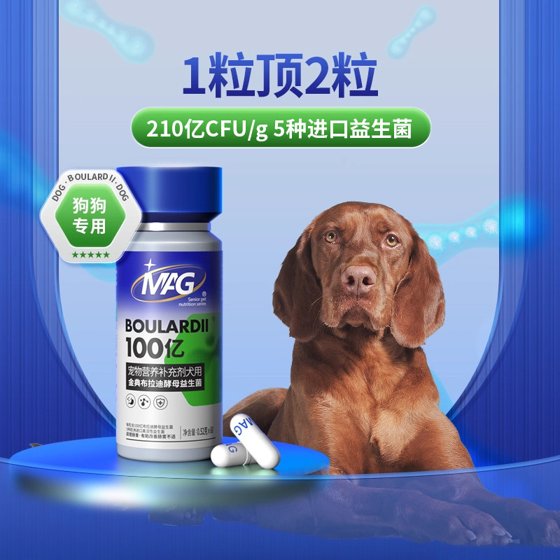 mag布拉迪益生菌犬用狗狗