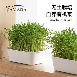 速发绿豆芽栽育器豌豆苗发芽盆蔬菜猫草种植无土培培水苗托盘