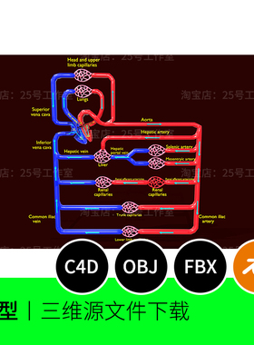 人体全身主要血液流动动脉静脉3D模型blender建模C4D素材OBJ 1633