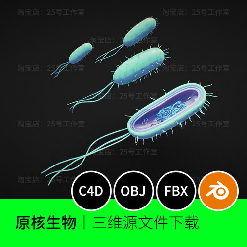 原核生物细胞细菌解剖学横截面微3D模型blender建模C4D素材1123