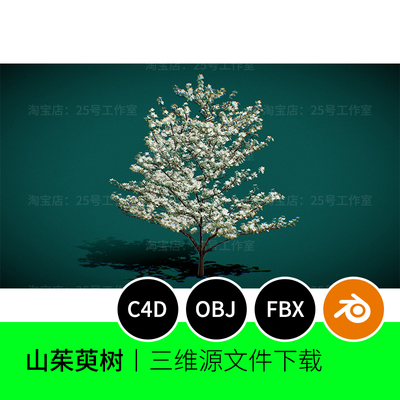 山茱萸树植物花朵3D模型blender建模C4D素材obj三维1333