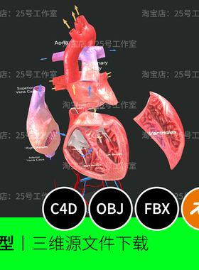 心脏解剖心房器官血管内部3D模型blender建模C4D素材OBJ三维1682