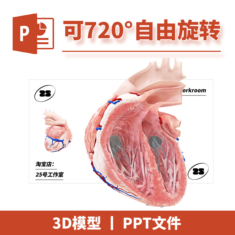 PPT文档心脏血管器官生物医学解剖3D模型模板初中教学教材课件20