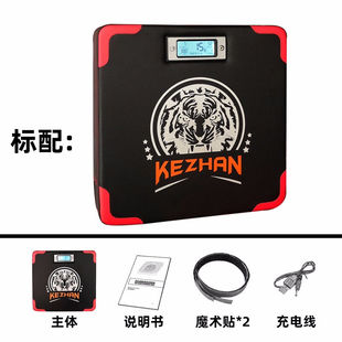 竞派拳力测力器拳击爆发力测试仪力量测试机靶子沙包墙靶沙袋训练