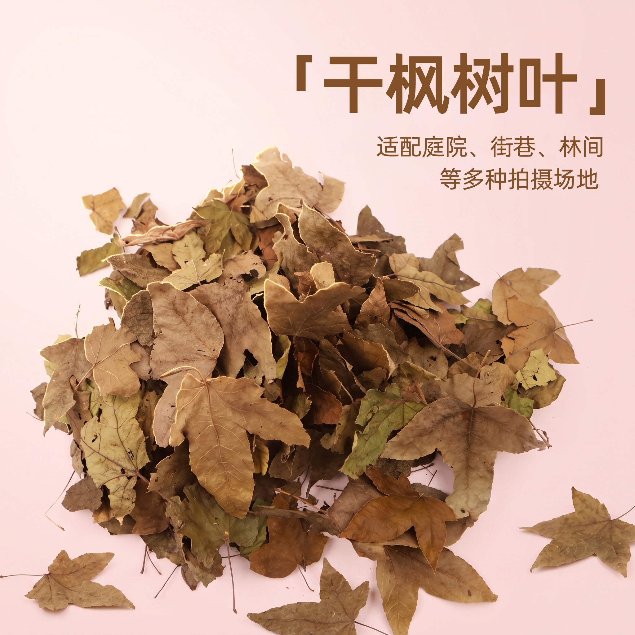 枫树叶铺设场地布景陈列造景