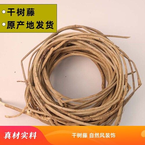 干树藤造型树藤蔓民宿庭院缠绕
