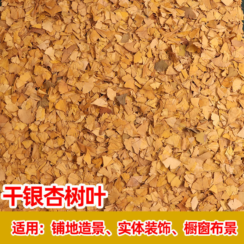 银杏叶铺地落叶橱窗布景材料