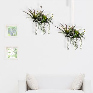 人造吊篮客厅仿真绿植盆栽植物餐厅样板间墙面装饰北欧ins风藤蔓