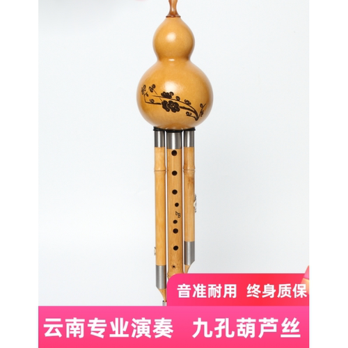 九孔葫芦丝演奏型楠竹9孔云南超七八降bc调成人儿童楠竹九孔C调有