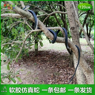 大号仿真蛇儿童玩具吓人吓人吓人软胶蛇假蛇恶搞可爱动物摆件模型