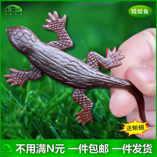 仿真小娃娃鱼蜥蜴壁虎四脚蛇恐龙幼儿园儿童认知玩具爬行动物模型