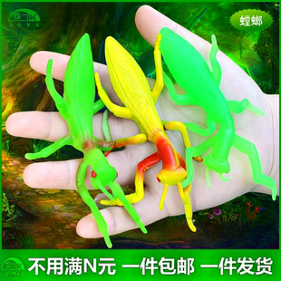 幼儿园儿童认知玩具园艺花草装 软胶仿真螳螂套装 饰假昆虫动物模型