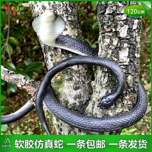 大号软胶蛇仿真眼镜蛇幼儿园儿童玩具蛇小蛇吓人吓人假蛇动物模型