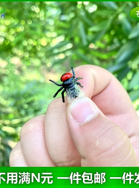 仿真苍蝇恶搞玩具幼儿园儿童礼物可爱塑胶吓人迷你假昆虫动物模型