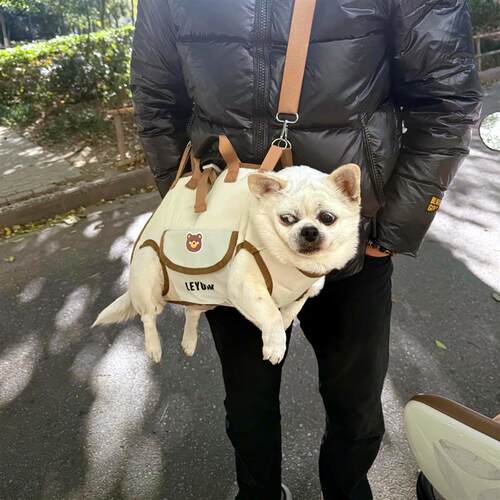 手提狗狗外出背包牵引绳便携嬉皮狗横向背包小猫咪宠物便携斜跨包
