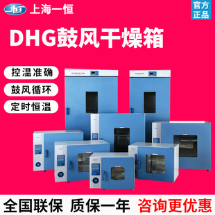 9140A电热鼓风干燥箱恒温烘箱实验室工业 9070 9030 上海DHG