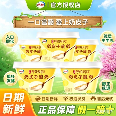 伊利呼伦贝尔奶皮子酸奶醇香奶皮子138g杯多种规格可选生牛乳发酵