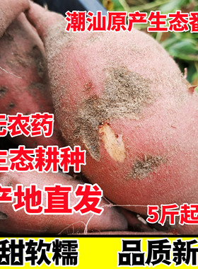【潮汕产地直发】农家自种无农药无化学肥料糯甜老品种红薯5斤