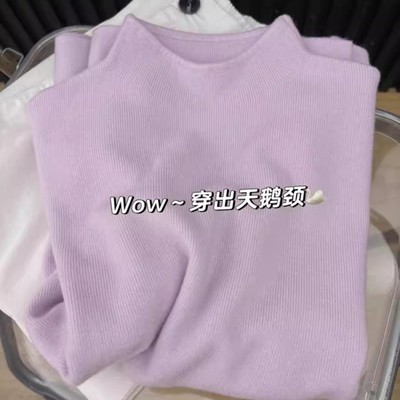 小立领长袖针织衫女半高领内搭