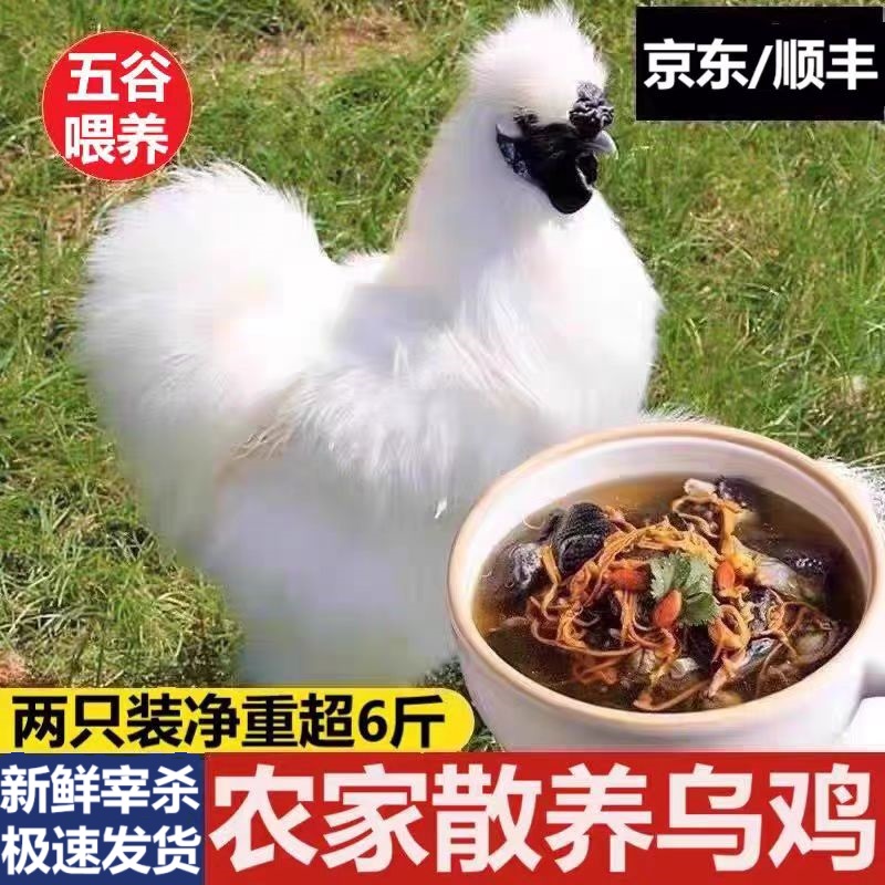 乌鸡新鲜现杀正宗乌骨鸡整只冷冻土鸡农家散养活鸡宰杀乌鸡生鲜