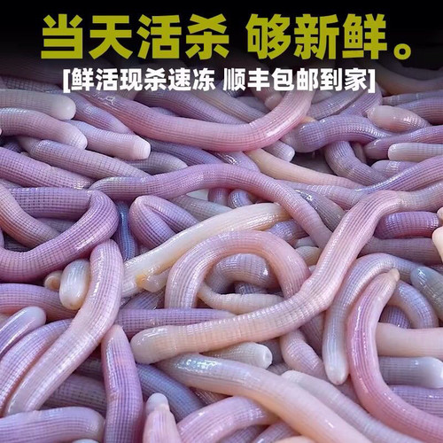 沙虫鲜活去内脏250g1盒沙蚕海肠