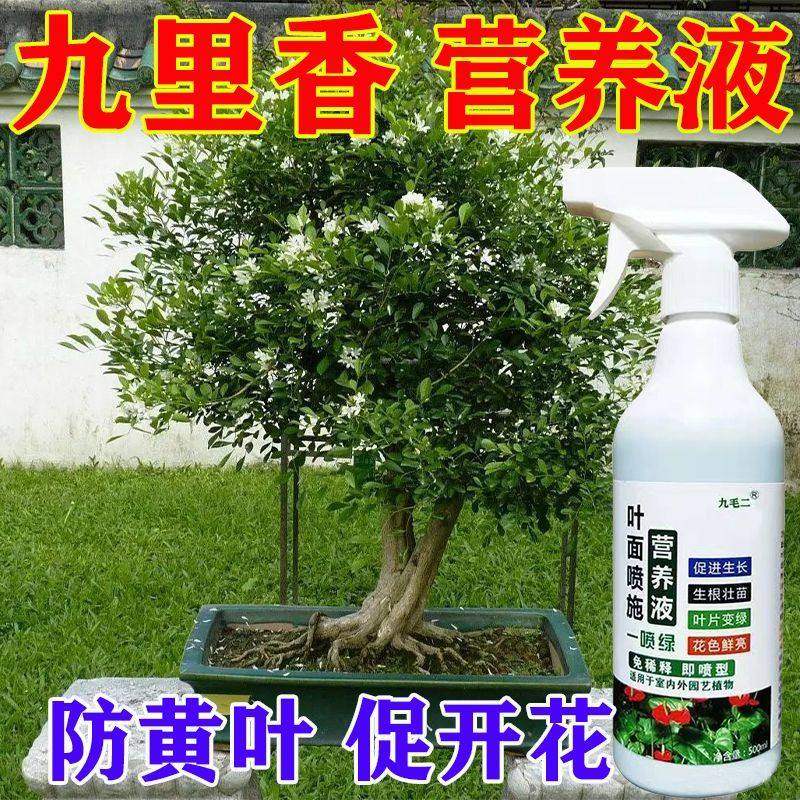 九里香专用营养液治掉叶子黄叶枯萎不开花催花剂免稀释液体肥料,鲜花速递/花卉仿真/绿植园艺,家庭园艺肥料,淘宝优惠券,粉丝福利购,淘宝优惠卷