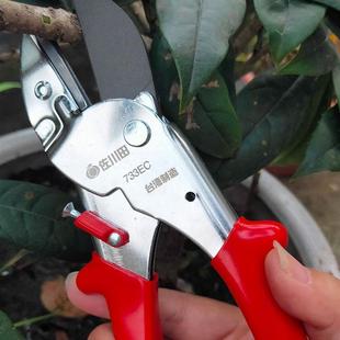 果树修树枝剪葡萄剪树枝剪园艺修花剪园林省力修剪粗枝剪刀