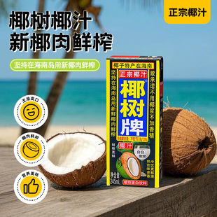 椰樹椰汁正宗245ml24盒裝 海南特產(chǎn)椰子汁椰奶植物蛋白奶果汁飲料