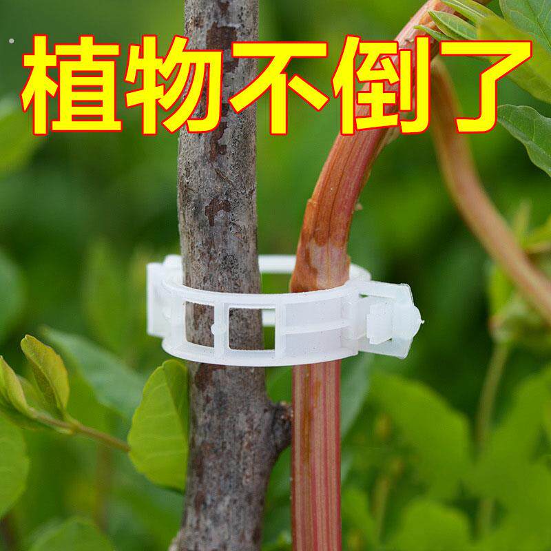 植物固定卡扣种瓜果蔬菜扶蔓夹园艺番茄黄瓜绑蔓夹子防倒伏神器