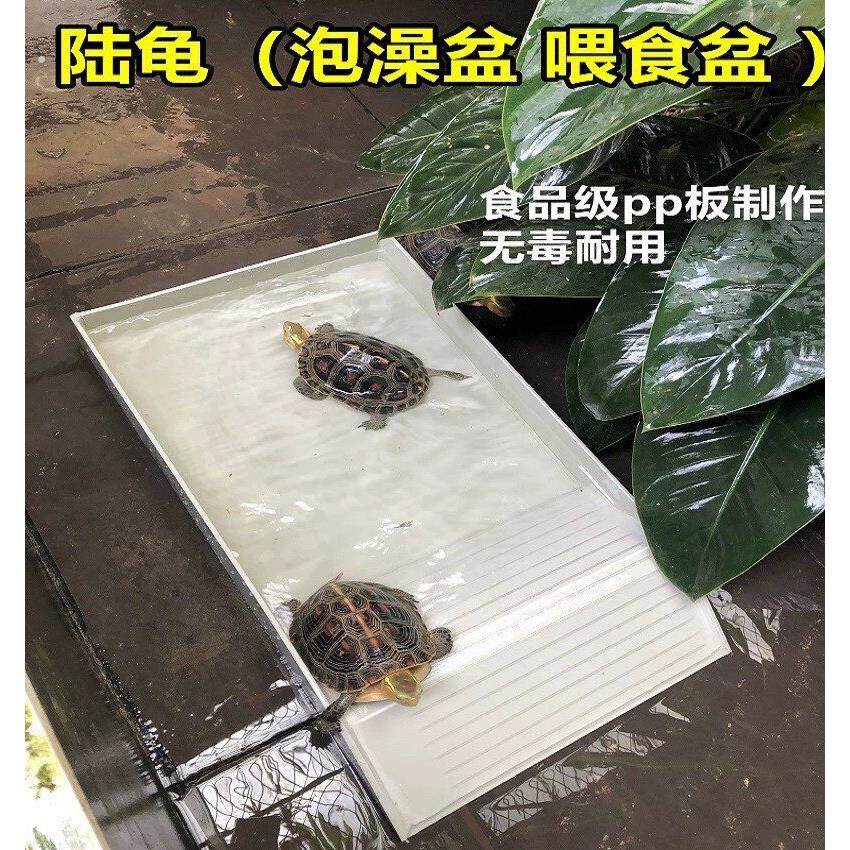 乌龟喂食盆喂水盆塑料陆龟半水龟爬宠物超大泡澡盆蜥蜴水盆饮水盘