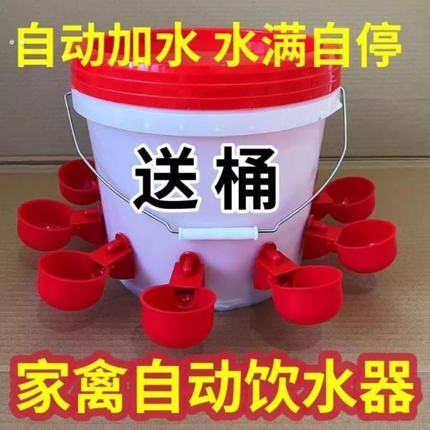 喂鸡食槽水槽一体喂鸡懒人神器出远门农村自动喂鸡家禽养殖小鸡鸭