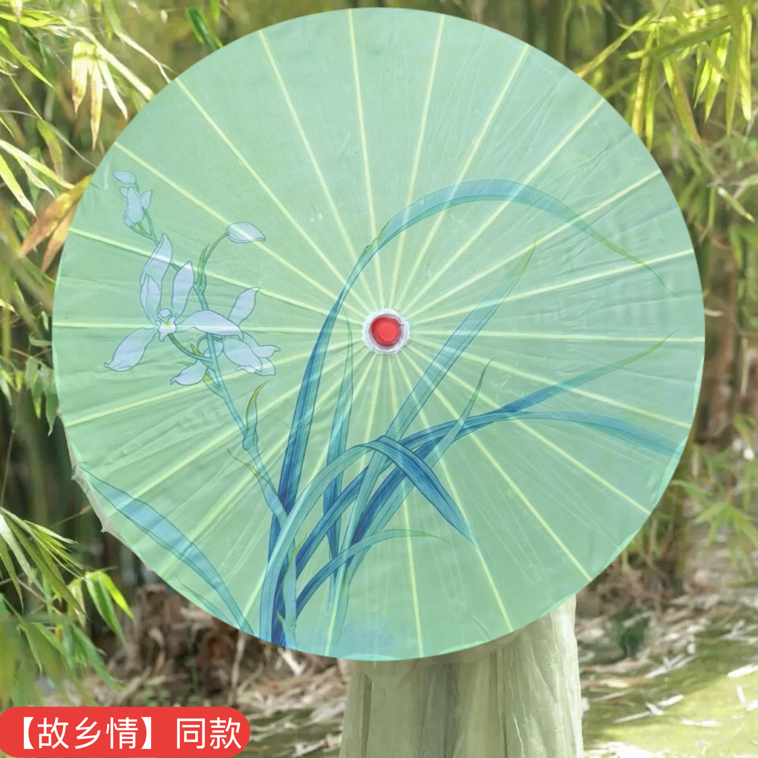 花与影故乡情同款伞舞蹈伞绸布演出伞道具伞古典舞伞油纸伞古风伞