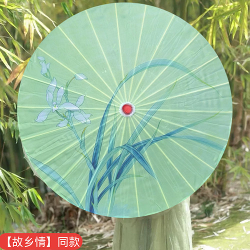 花与影故乡情同款伞舞蹈伞绸布演出伞道具伞古典舞伞油纸伞古风伞