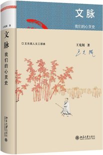 文脉 我们 正版 心灵史 王充闾9787301304617北京大学 包邮