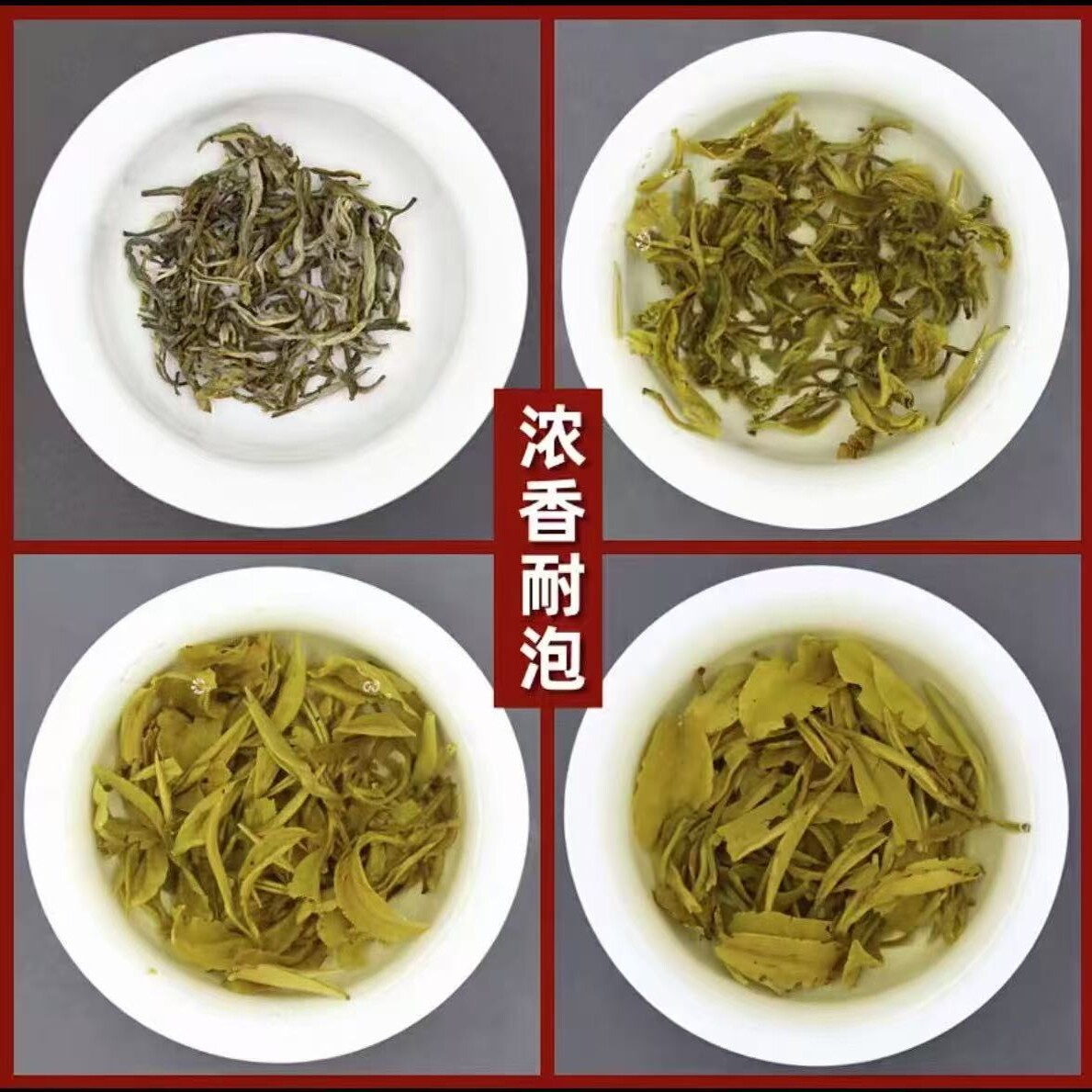浓香型茉莉花茶2026一级正宗新茶茉莉龙豪云南茉莉花茶袋装