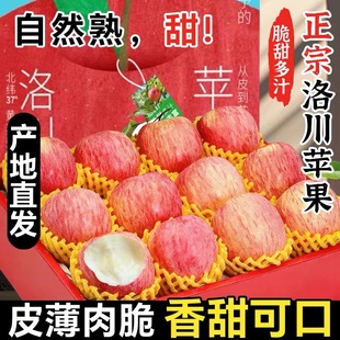 陕西洛川苹果水果新鲜9斤当季 红富士一级脆甜冰糖心整箱