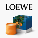 LOEWE罗意威橙花香氛香薰蜡烛植物 告白礼物 520礼物 官方正品