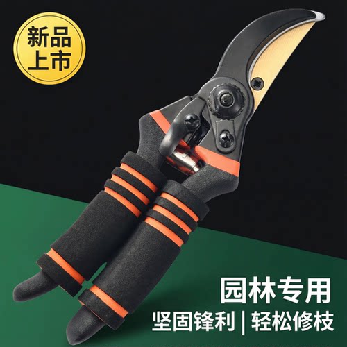 园艺园林果树剪刀修剪树枝