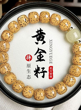 星月菩提手珠老陈籽手串黄金籽算盘珠编织绳手持男女盘玩文玩佛珠