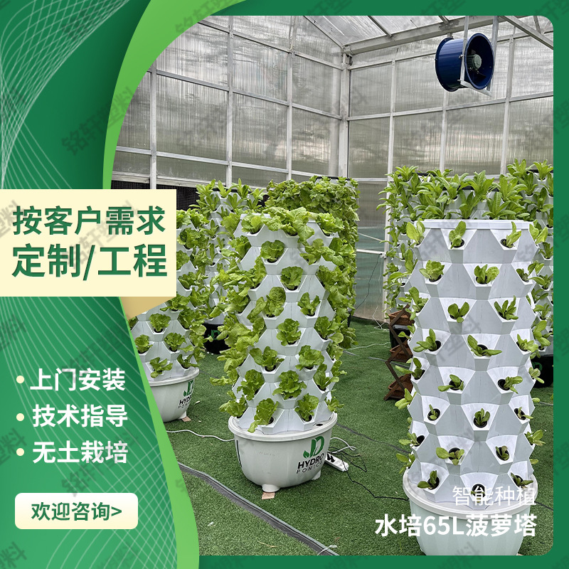 科普水培种植系统气雾栽培菠萝塔大棚蔬菜种植设备无土栽培种植塔