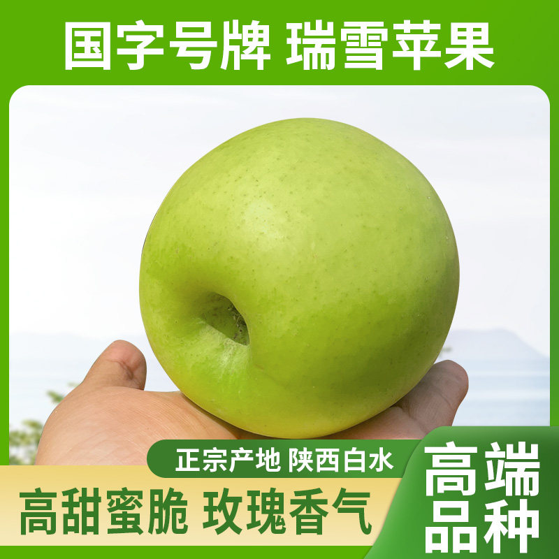 正宗瑞雪苹果陕西白水瑞雪青苹果玫瑰香纯甜无酸脆爽新鲜水果礼盒