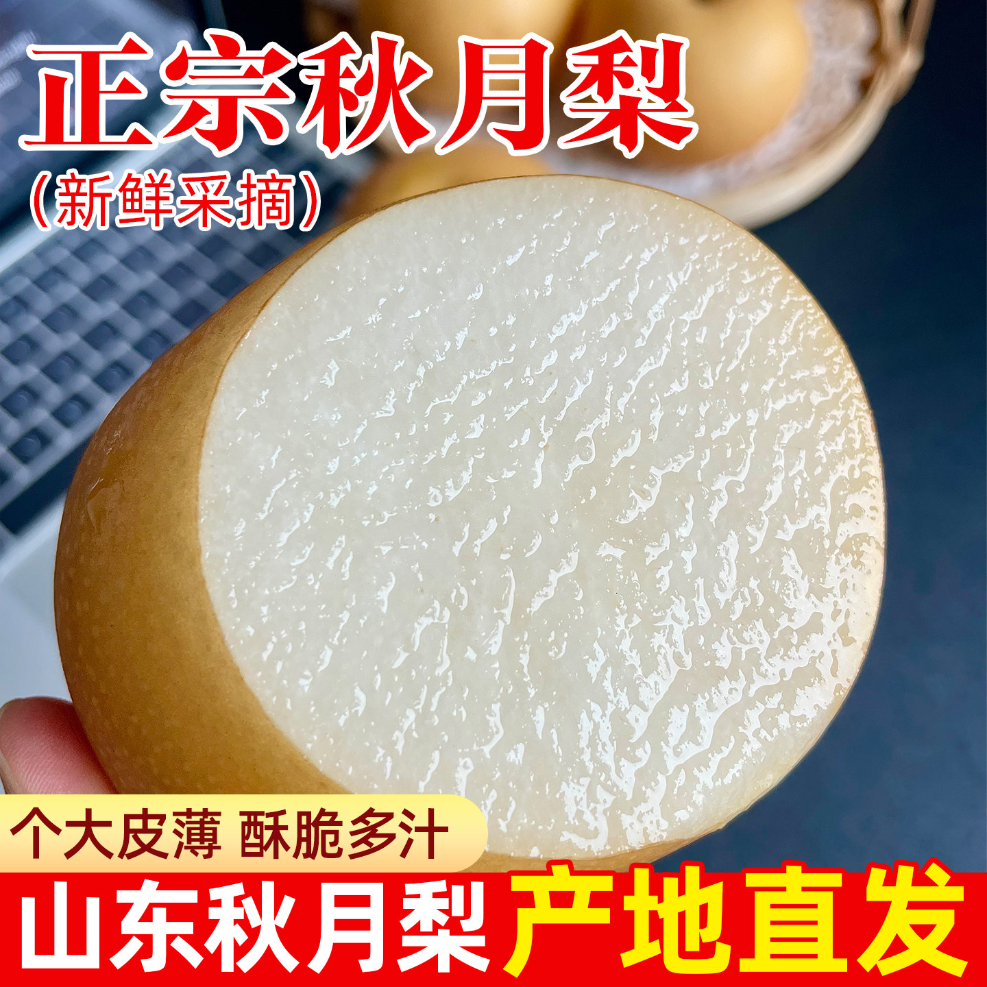 正宗秋月梨酥脆皮薄多汁