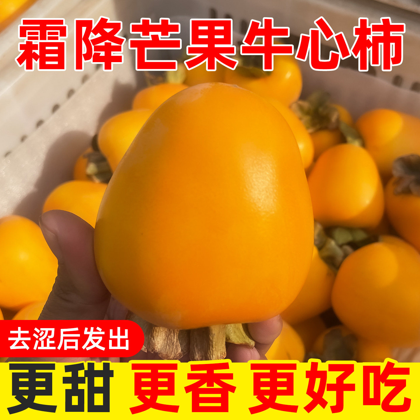 山东牛心柿子新鲜芒果脆柿子黄柿子沂蒙山现摘去涩脆甜柿揽柿子
